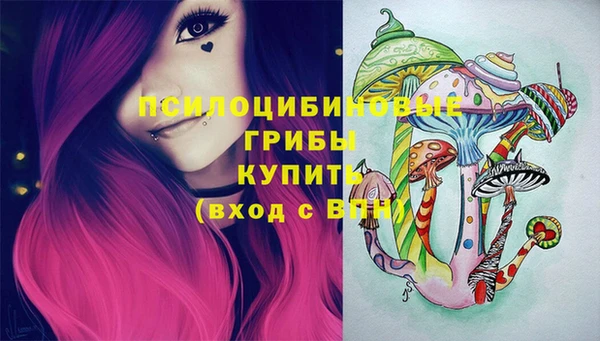 а пвп мука Алзамай