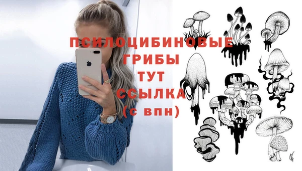 спиды Алексеевка