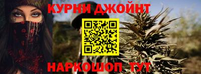 шишки Изобильный