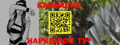 шишки Изобильный
