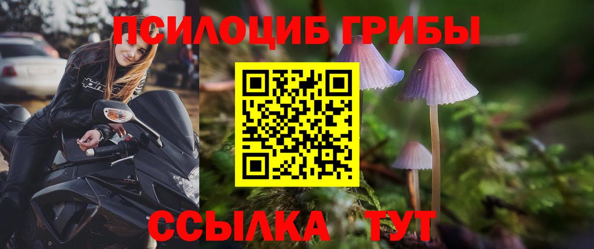 Псилоцибиновые грибы мицелий  Вход с VPN  Набережные Челны  Галлюциногенные грибы прущие грибы 